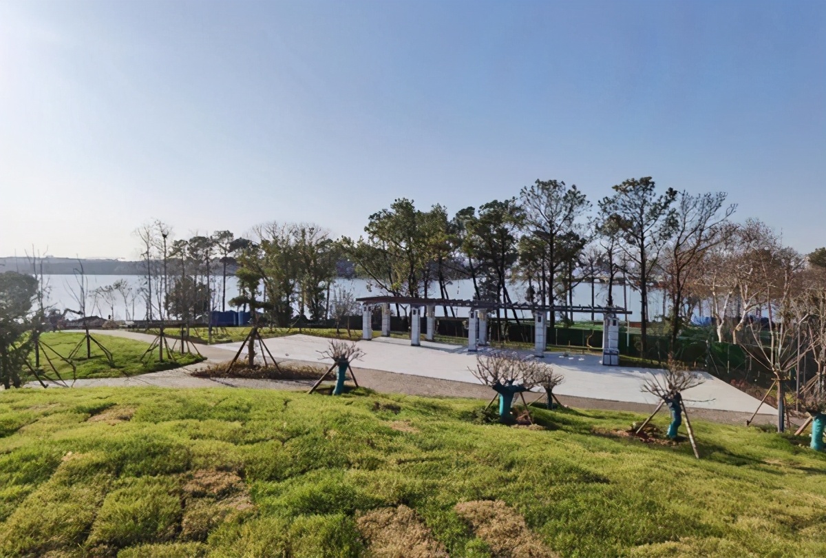 湖北高校风景,湖北风景最美的大学