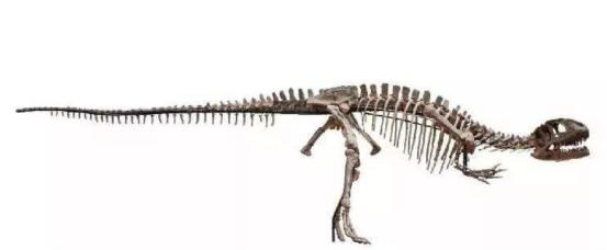 科学家对恐龙的发现,科学家如何知道恐龙是几亿年前