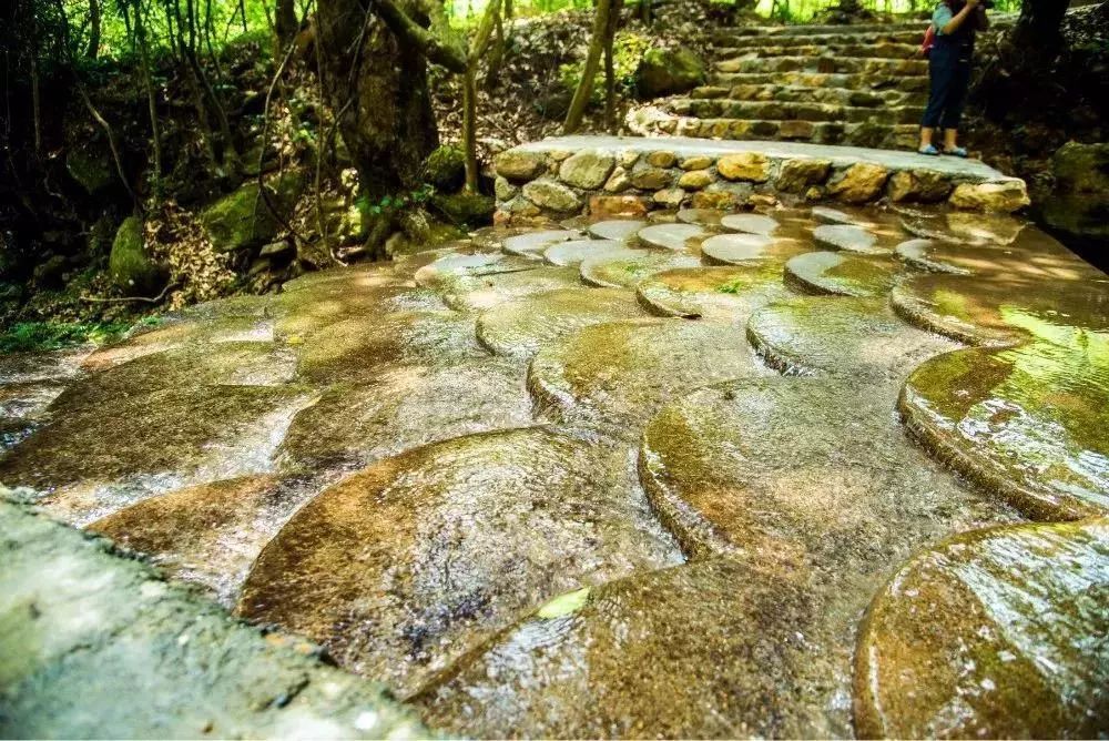 国庆与家人、朋友住韶关碧桂园*阳城太**凤凰酒店享美好假期