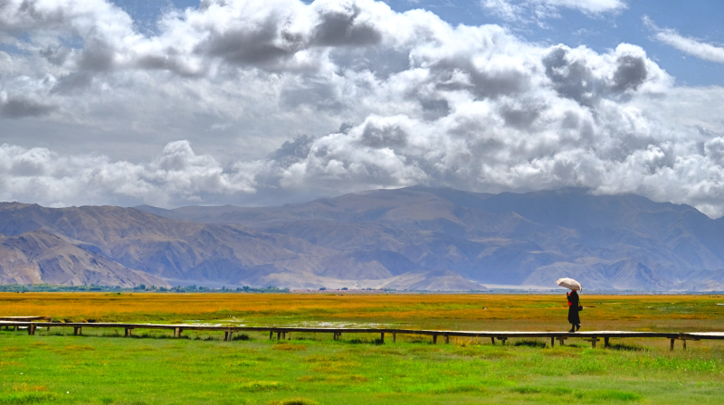 新疆喀什游玩与饮食,新疆喀什旅游去哪买特产