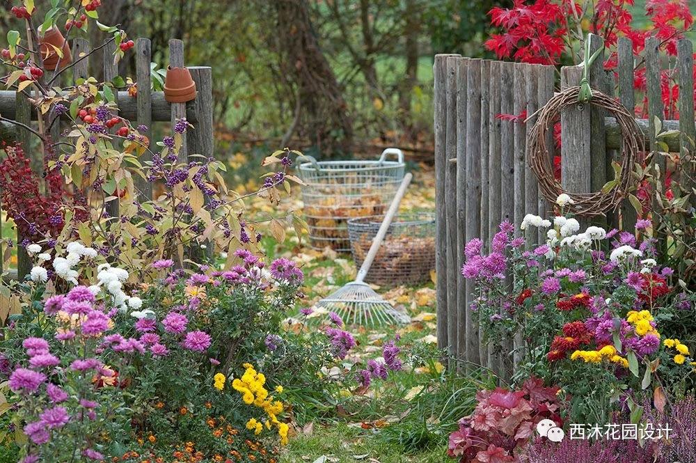 如果气温变冷需要准备什么,温度降到几度花搬到室内