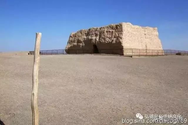 “驴子孝”，感天动地的真实故事