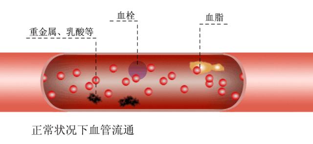 日本干细胞治疗脑出血偏瘫,日本27岁明星突发脑出血