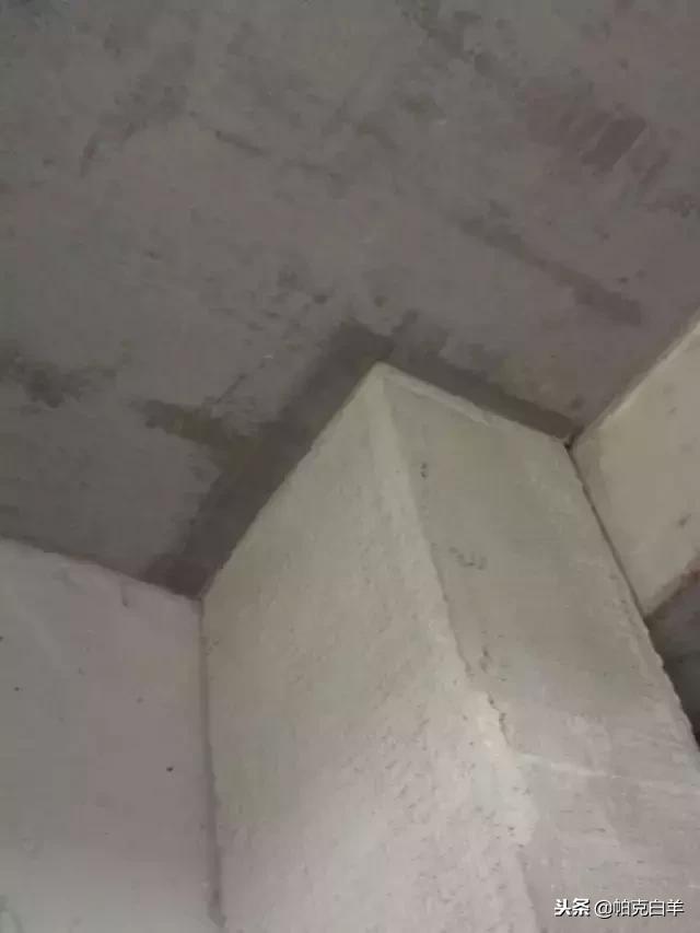 最牛图片大全高清,最牛主图指标源码