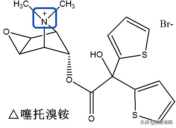 执业药师药物化学结构记忆口诀,初级药师基础知识药物分析