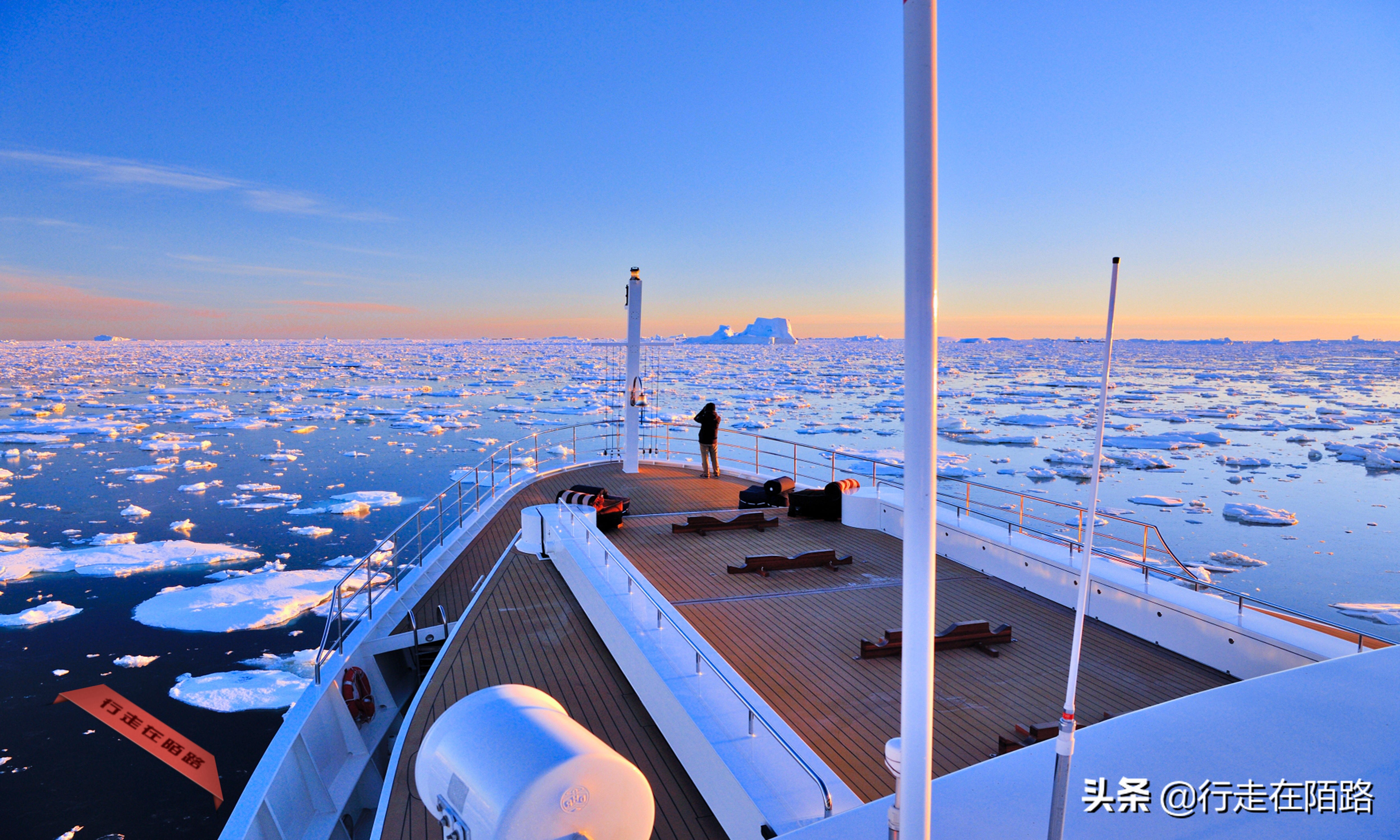 铲屎官的工资,铲屎官工资一天多少钱