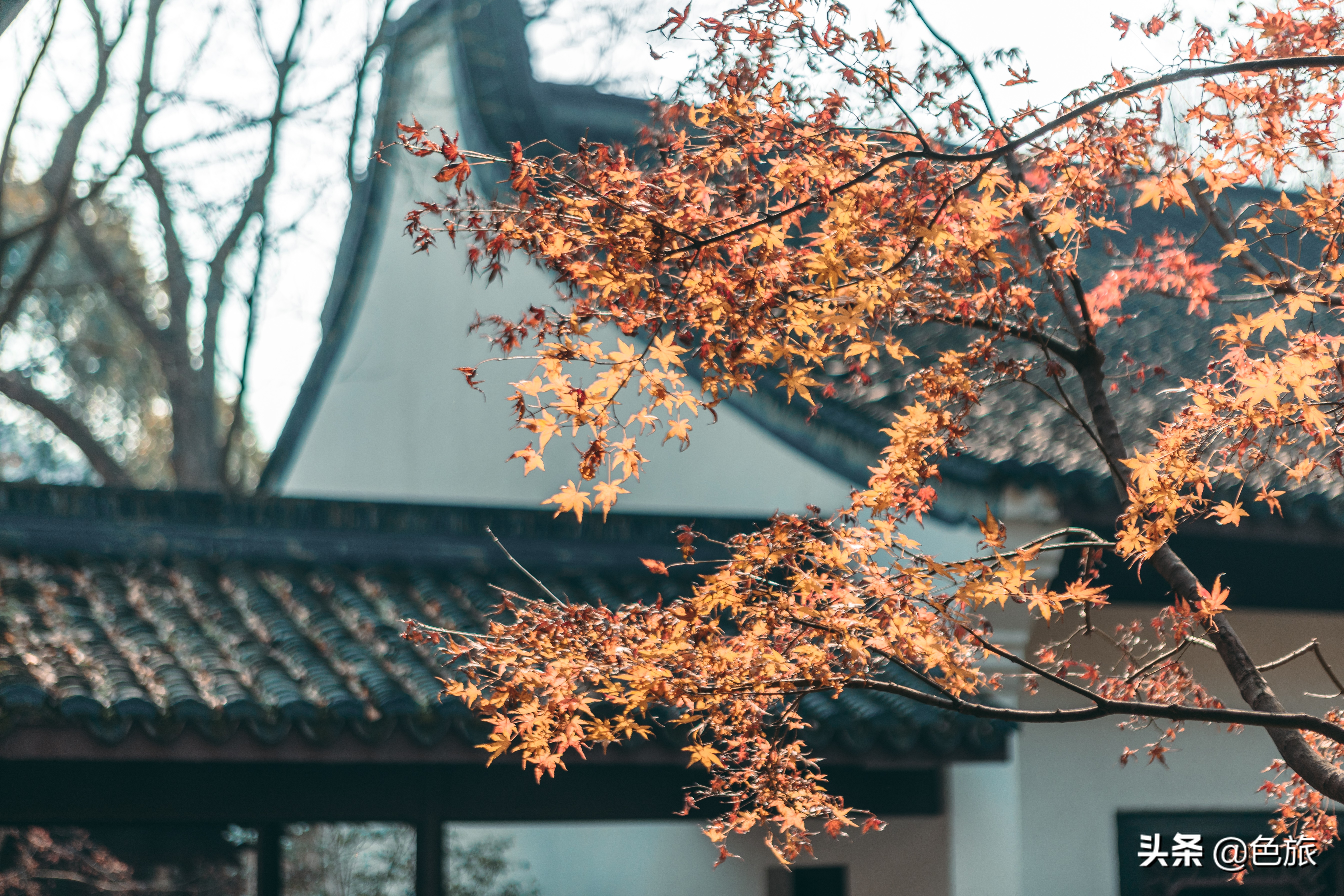 逆水寒游历虎跑梦泉怎么出葫芦,杭州游玩虎跑泉