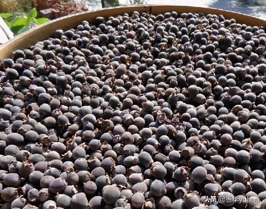 稔子酒的制作方法功效,广东制作稔子酒的泡法