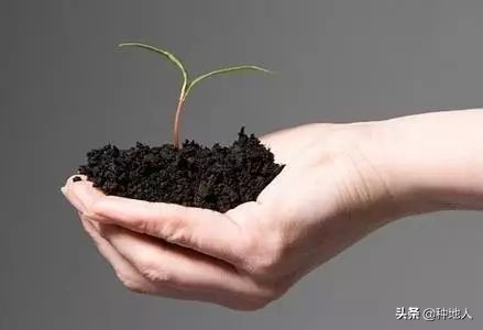 什么是有机肥？这篇文章讲的最清楚