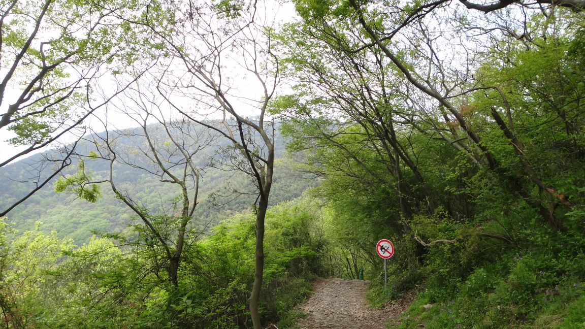 苏州第一高峰穹窿山,苏州最高的山穹窿在哪里