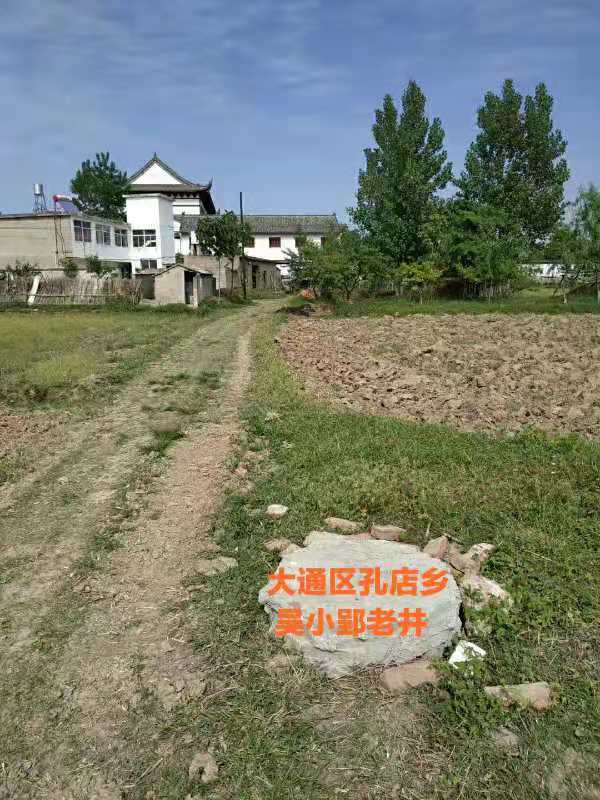 淮南乡土|寻访古井(吴井篇)