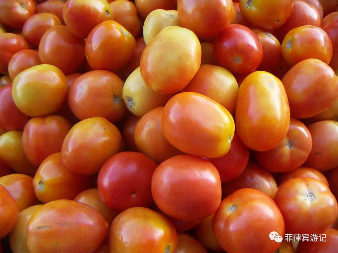 菲律宾青菜价格表,菲律宾蔬菜为什么那么贵