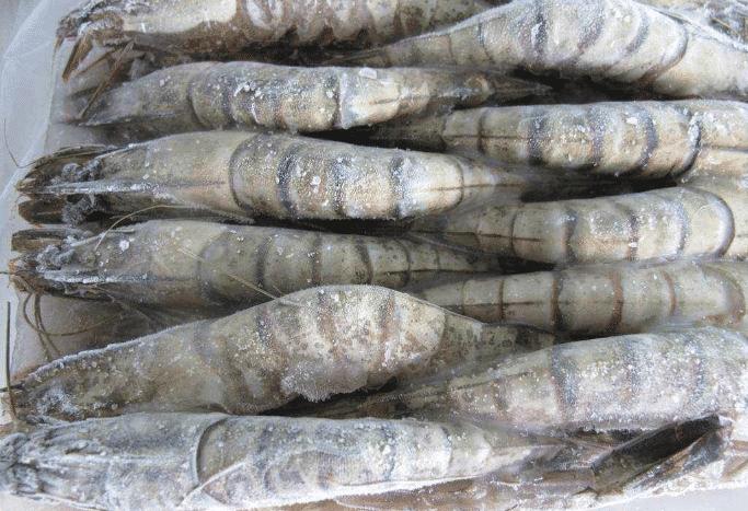 海鲜市场最坑的3种海鲜,菜市场最坑人三种海鲜