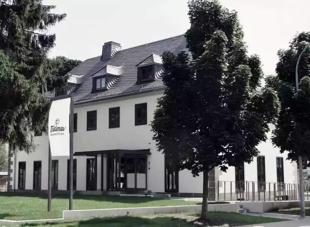 瑞表好还是德表好,德国制表