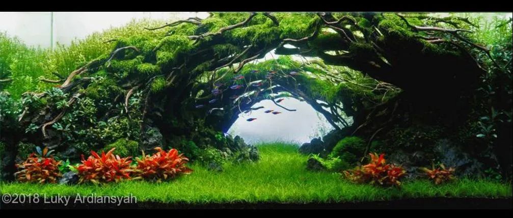 造景如何看起来有层次,十个最好看的造景