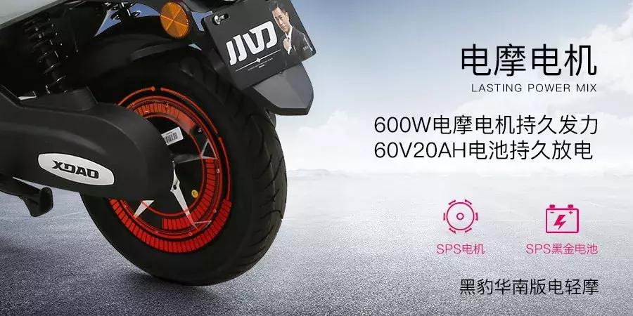 V为大观，一场来自华南的感官之旅