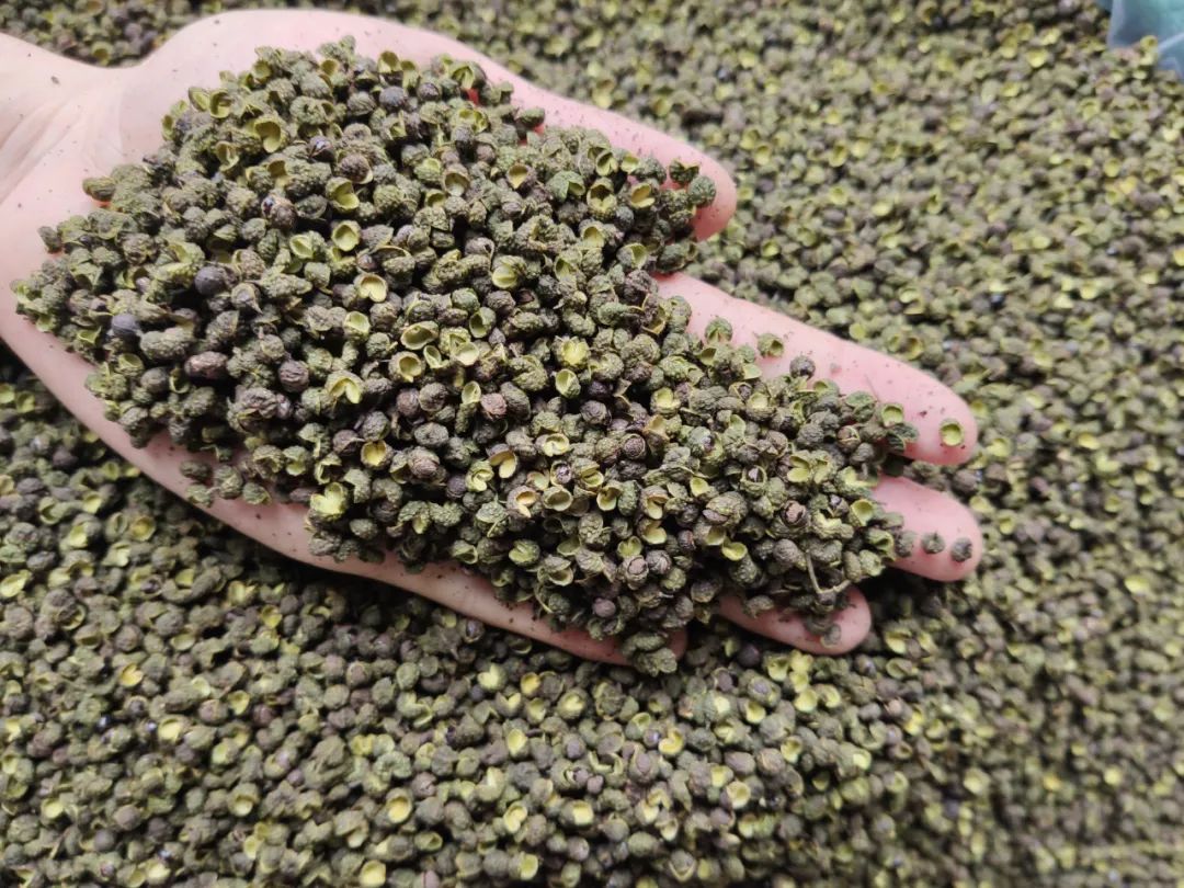 什么是好花椒？什么样的花椒值钱？便宜有好货吗？