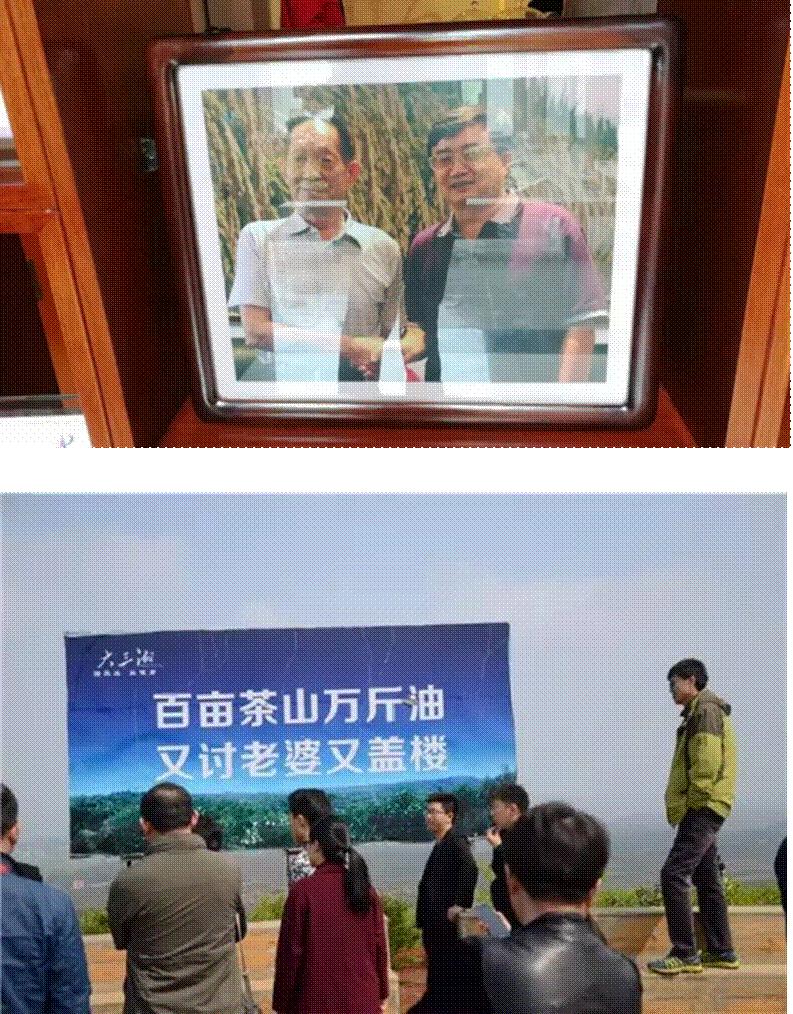 新消费类、服务类、会员制类品牌成功基因探索