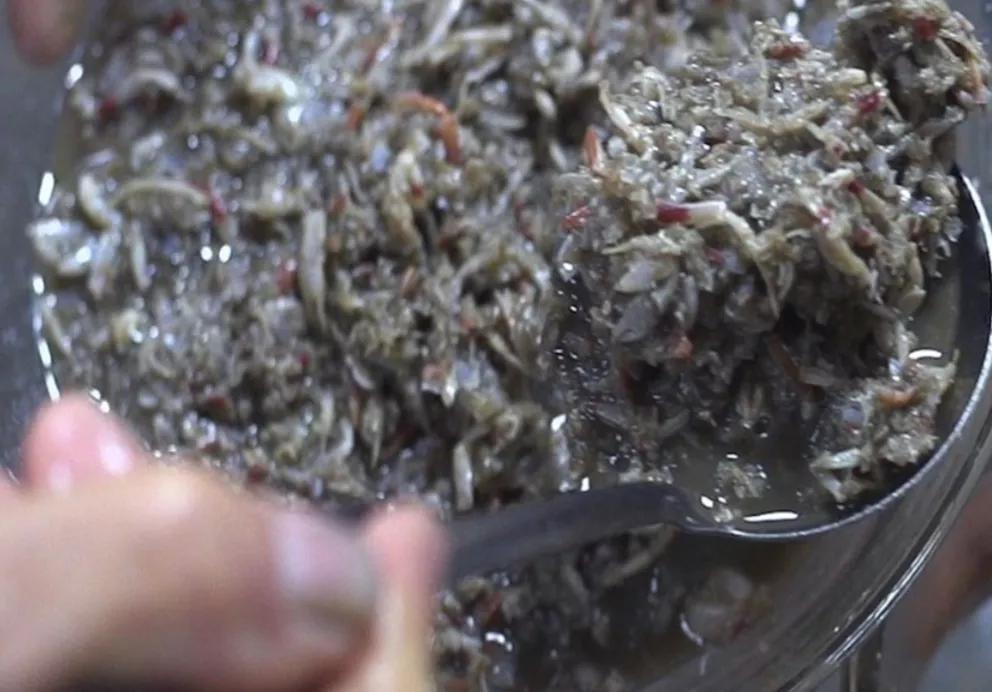 全球最臭食物十大排行榜,最臭食物集合