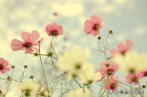 高中原创作文《磨》——时间只不过是黑夜与白昼的交替