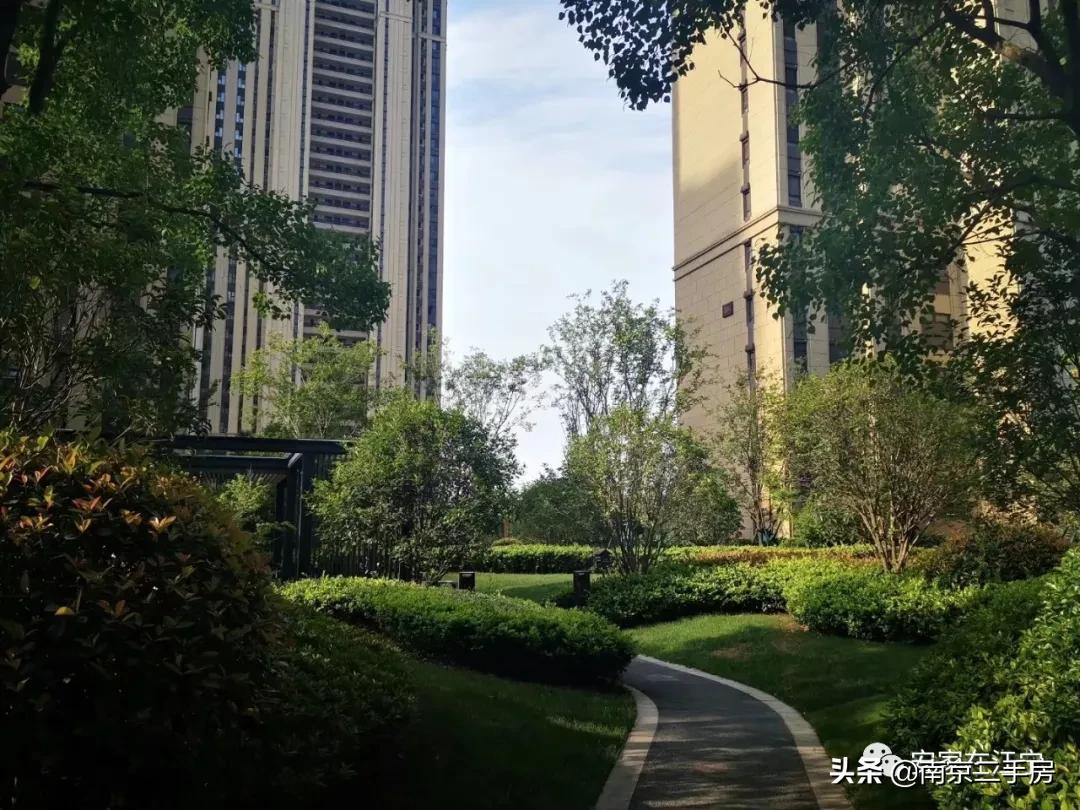 凭实力吸粉!成交破4万/㎡,实探百家湖“网红”神盘