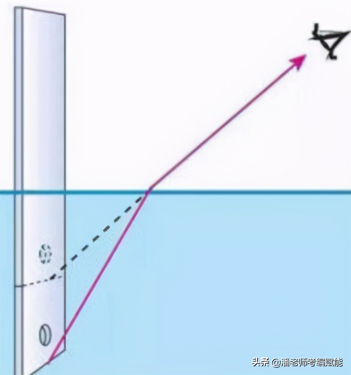 教招考试中常考的实验有哪些？