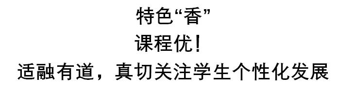 成都民办高中性价比,成都好学校盐外
