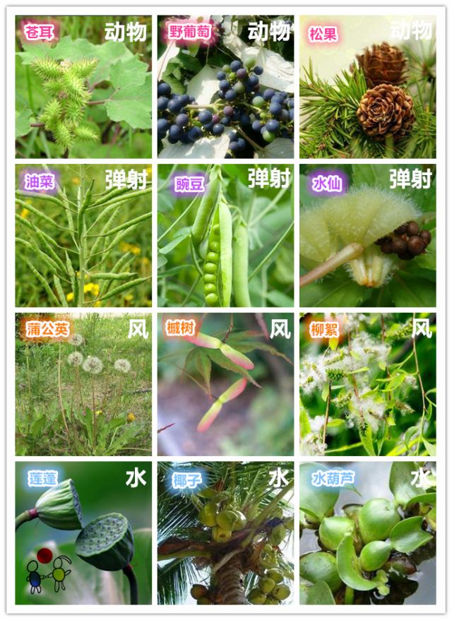 四年级下册生命生态与安全知识点,科学四年级1到2单元的知识点