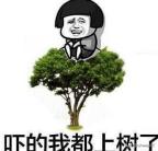 pmp报考条件及费用个人,pmp今年什么时候报考条件及费用