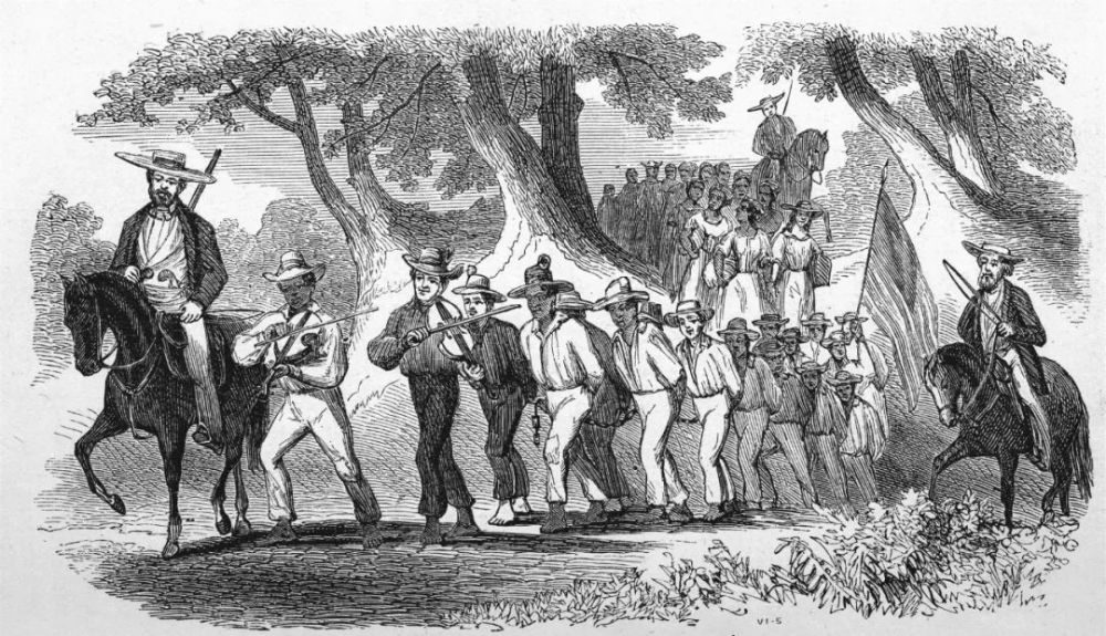 非洲黑人成为“最受欢迎”奴隶,是因为抵抗传染病的能力更强?