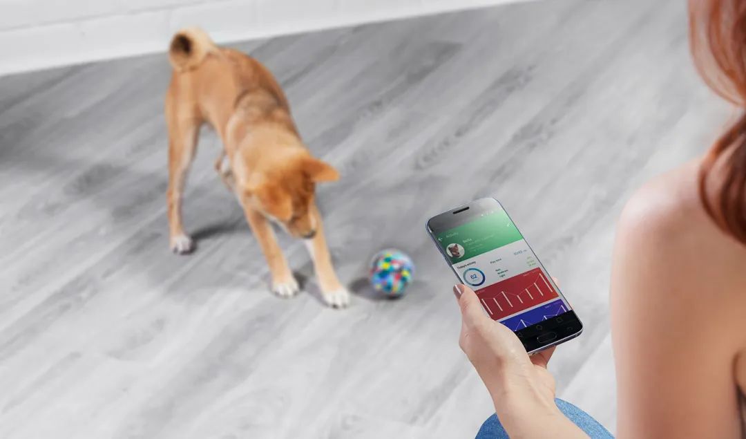 未来5年宠物智能产品,宠物产品logo设计