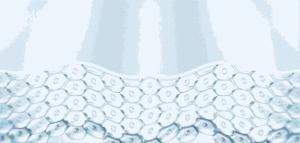 御泥坊金桂花眼膜,御泥坊金桂花眼膜新老包装