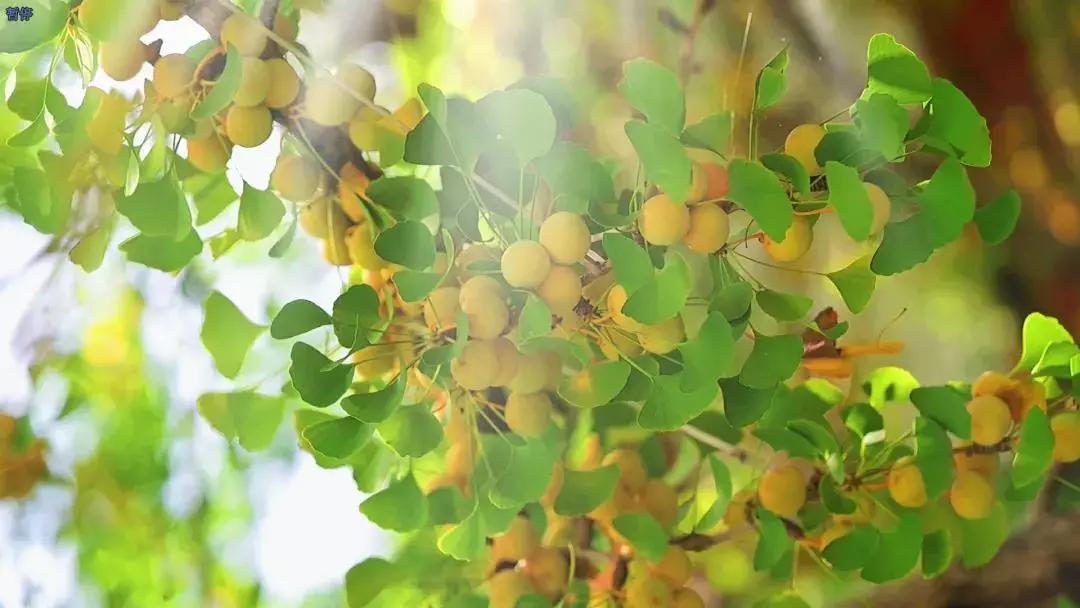 腾冲县地图在云南的哪个位置,腾冲边境地图