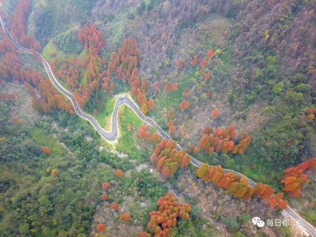 赵公山大熊猫国家生态公园,赵公山大熊猫生态公园