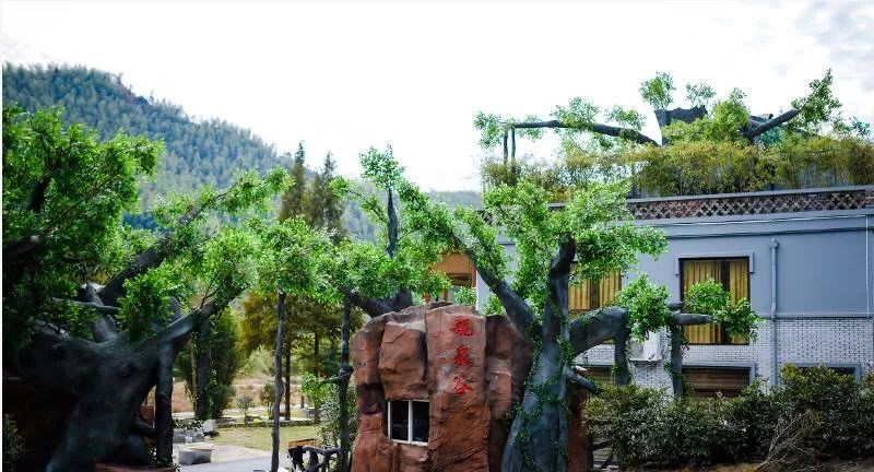 莫干山别具特色的3家民宿,莫干山景点民宿