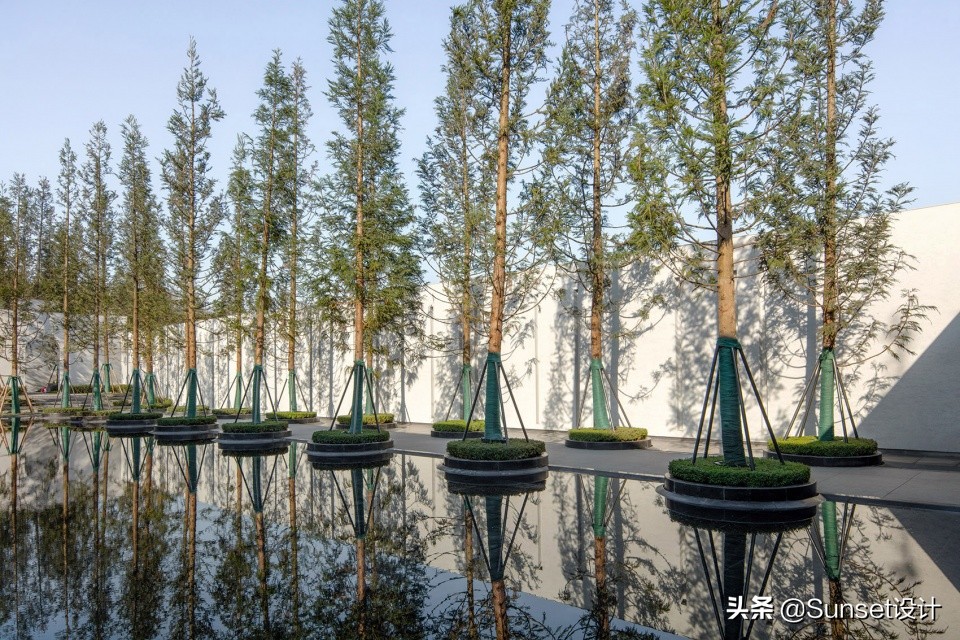 幽居在闹市潜游天地间,闹市寻幽处雅意上心头