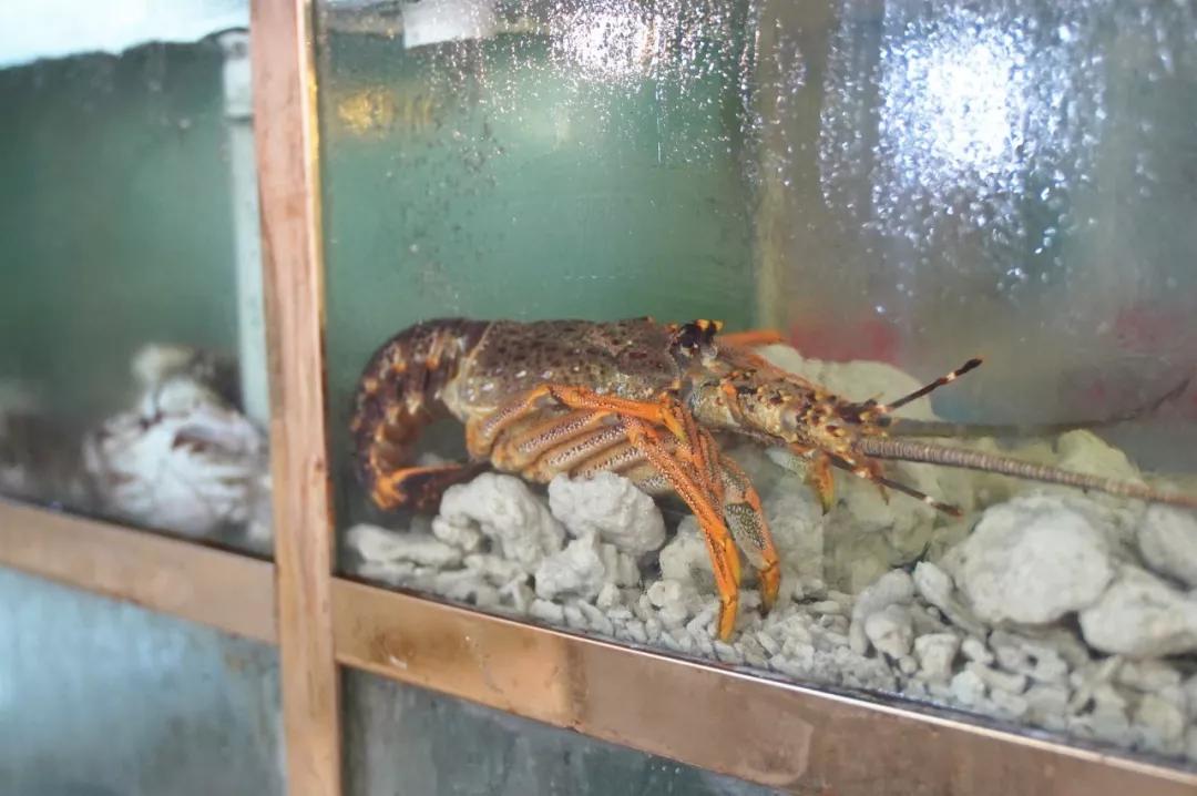 无锡市中心小巷美食攻略,无锡市中心吃的推荐