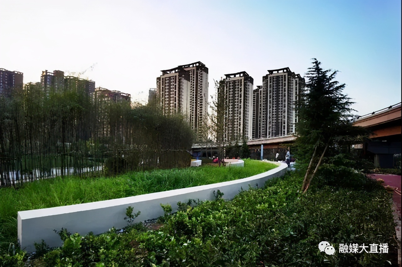 西安公园南路绿化提升,西安市团结村改造规划图