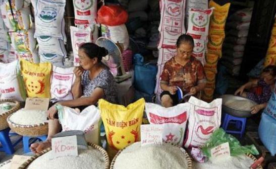 娉板浗杩涘彛涓浗澶х背,娉板浗澶х背鍑哄彛浠锋牸涓婃定