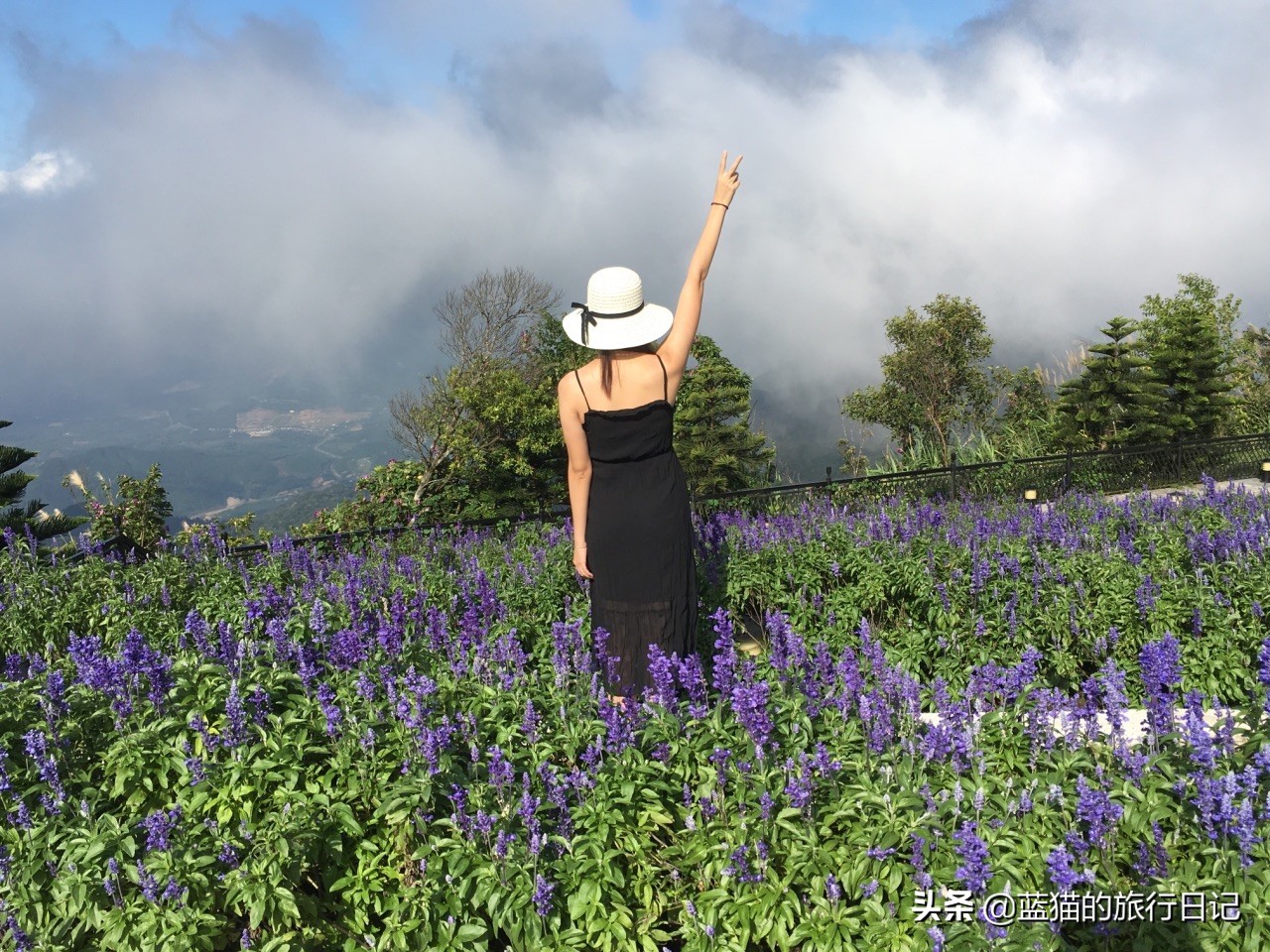 一个人旅行的女生,一个女生去越南自由旅行