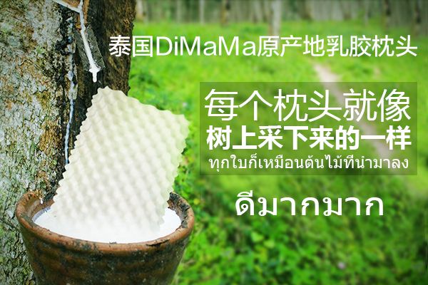 选乳胶枕头什么牌子好,泰国乳胶枕头品牌最新报价大全