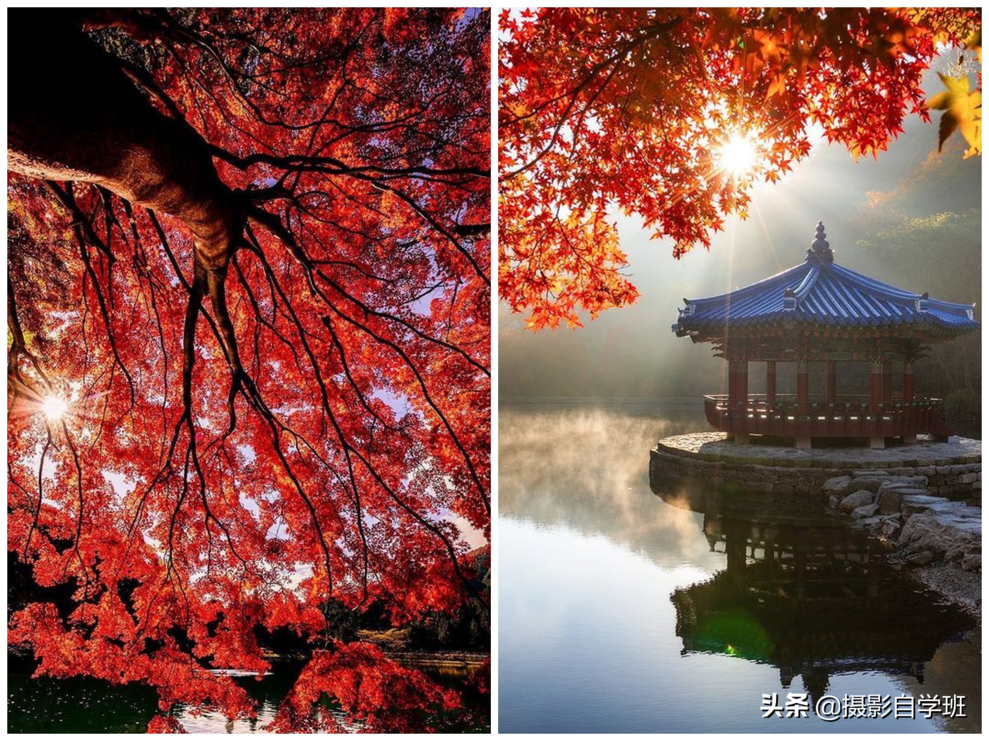 拍风景技巧大全,拍风景技巧夜景