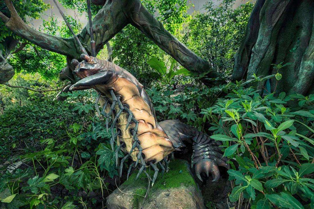 猴杯讲述了什么,猴杯故事梗概