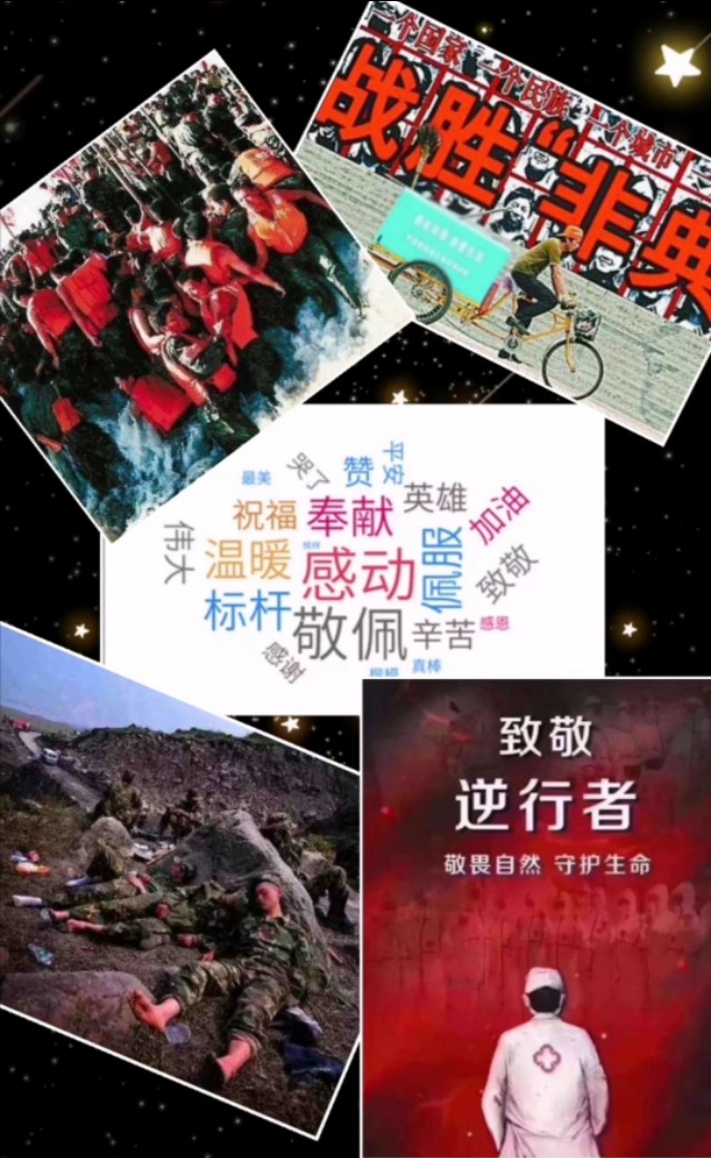 高枫的病毒性肺炎为什么没治好,高枫死于非典么