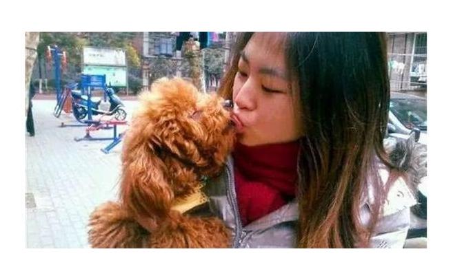 女生最适合养贵宾犬,养贵宾犬有什么建议