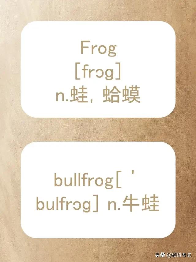 动物的英文拼写及音标,关于动物的单词及音标