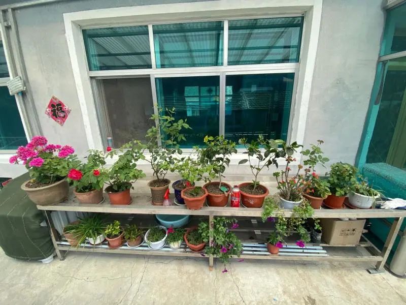 走向我们的小康生活1000字,走向我们的小康生活主题报道