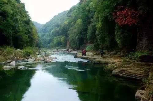 昆明周边适合露营的森林,昆明附近露营风景好