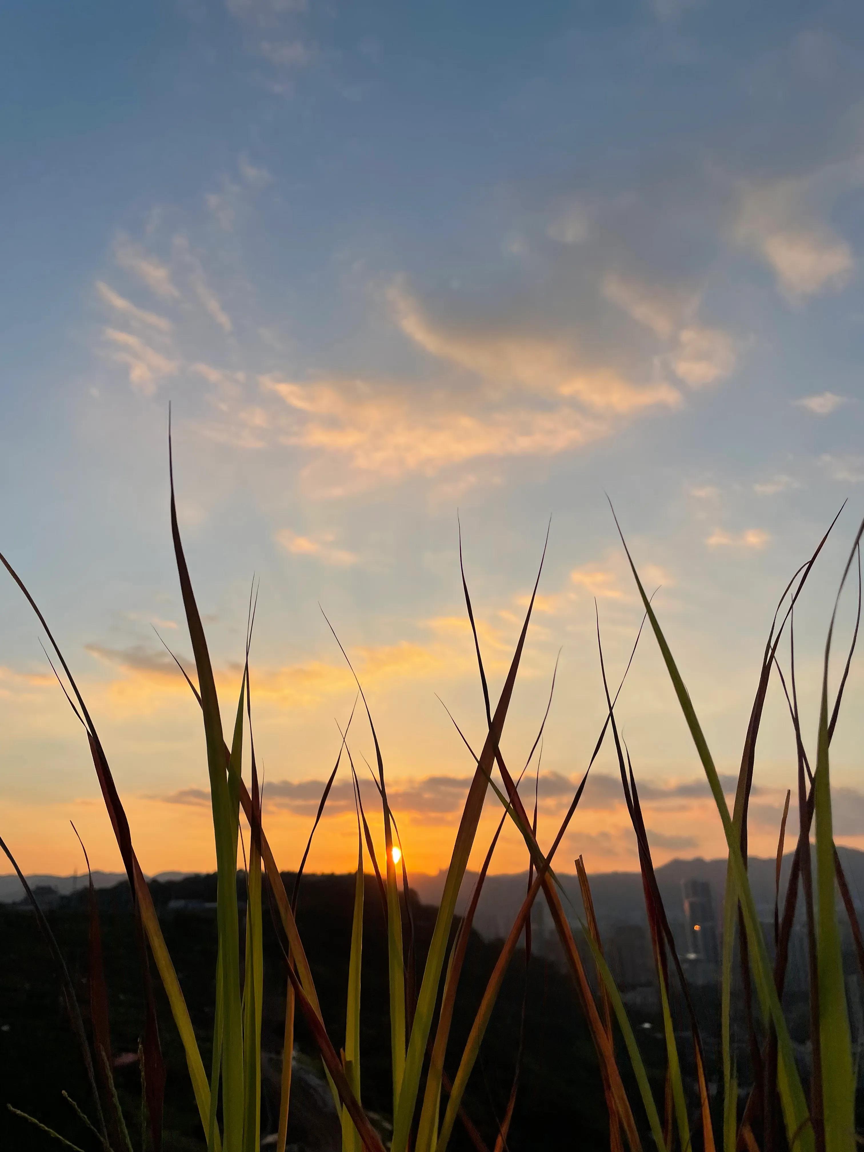 重庆大坪旅游街区推荐,重庆大坪周边游玩攻略