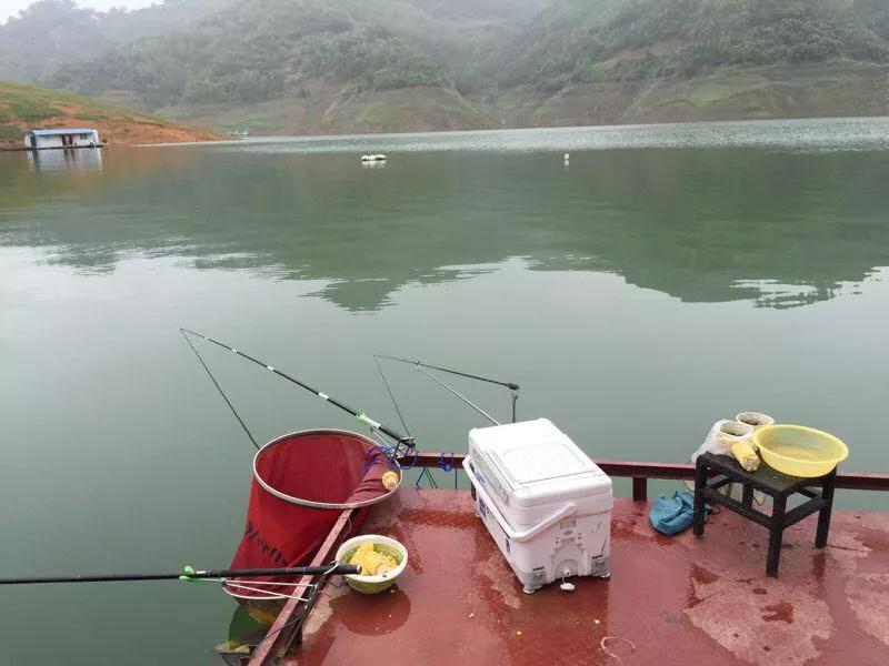 副竿钓鱼用什么饵最好,野钓用饵口诀记住必爆护